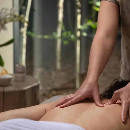 Nh Collection Mirtillo Rosso 4*