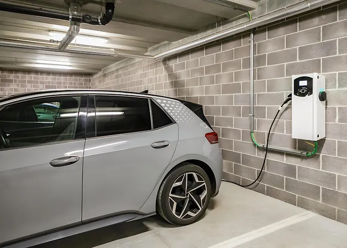 Mirtillo Rosso Family 4*